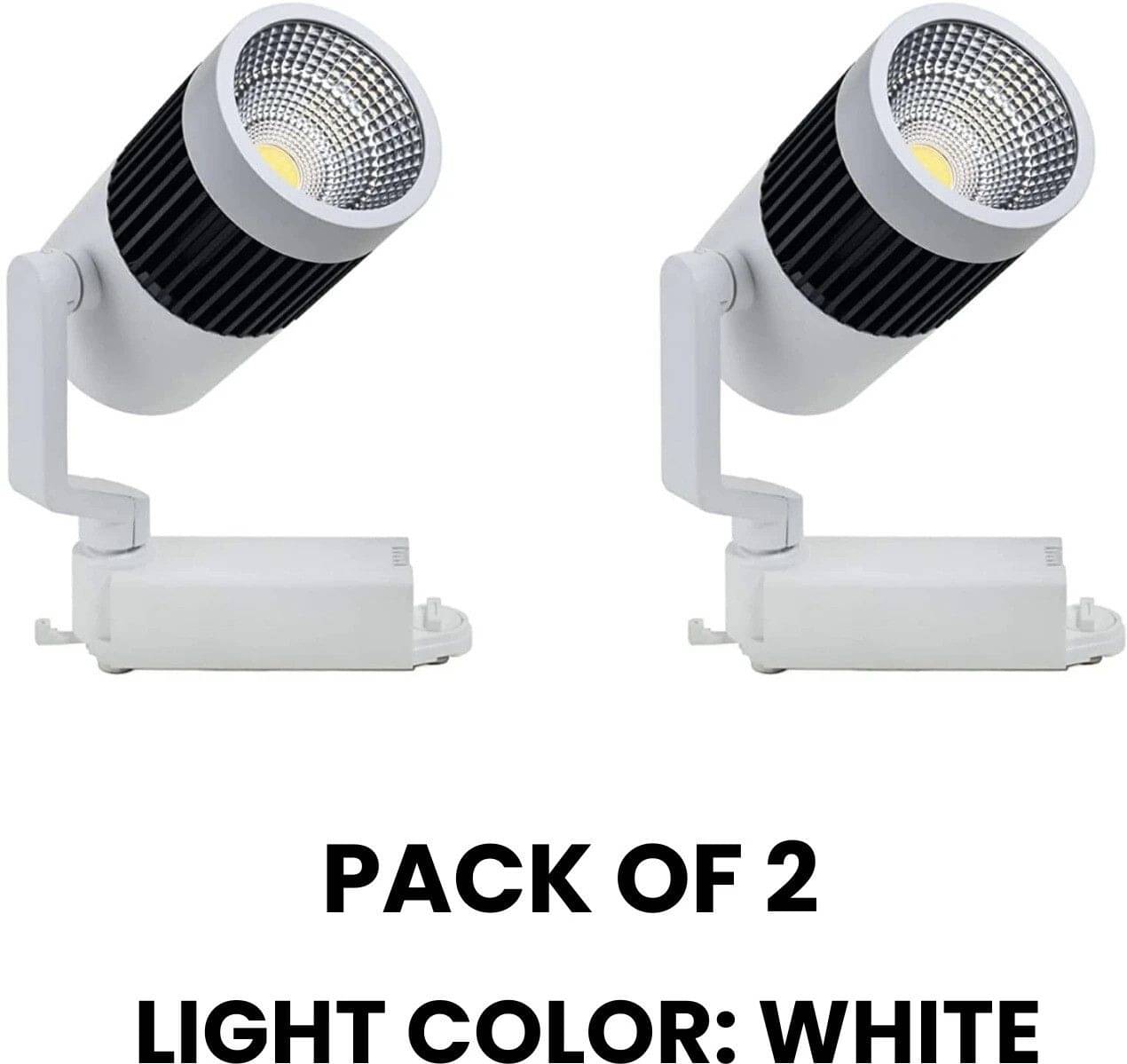     			SPARKWORLD Plastic Ceiling Lights - Pack of 2