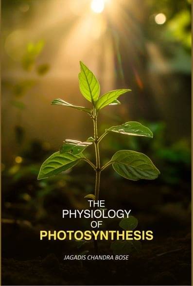     			The Physiology of Photosynthesis
