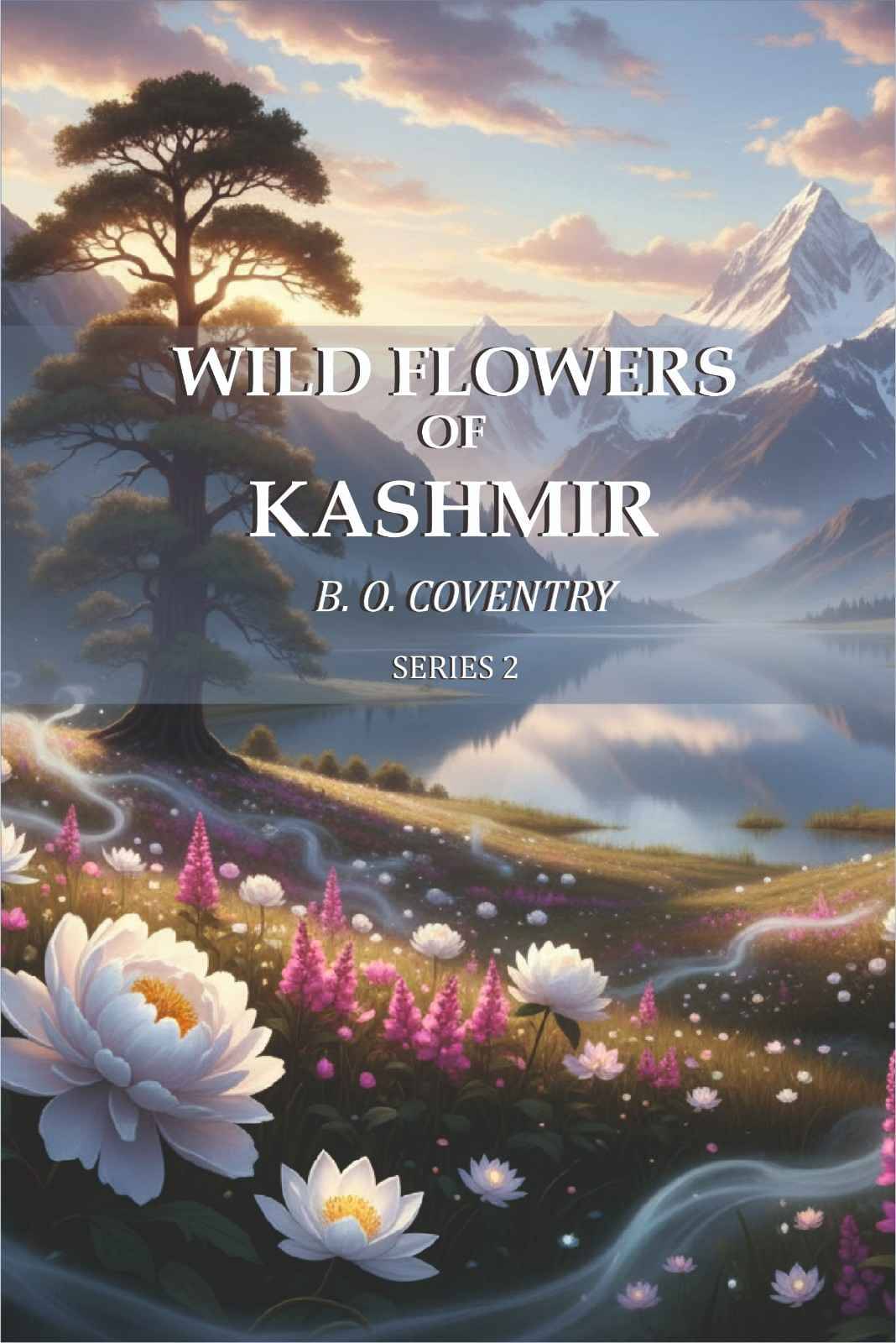     			Wild Flowers of Kashmir Series 2nd [Hardcover]