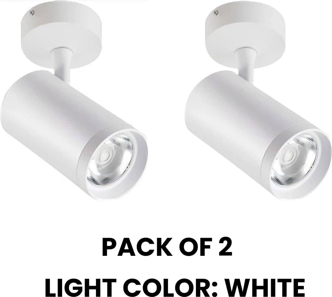 ZESTRUM Plastic Ceiling Lights - Pack of 2