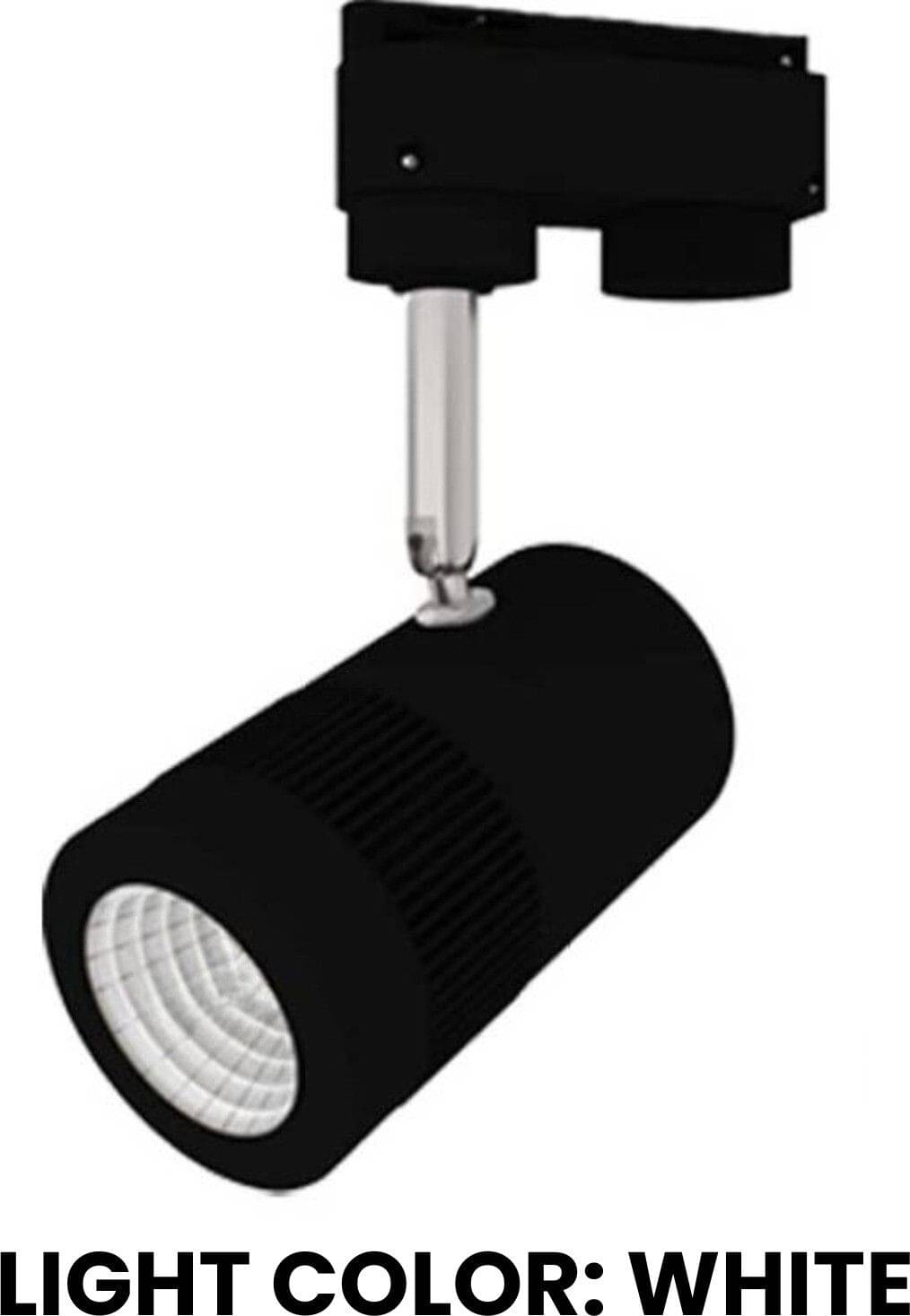     			ZESTRUM Plastic White Ceiling Lights - Pack of 1