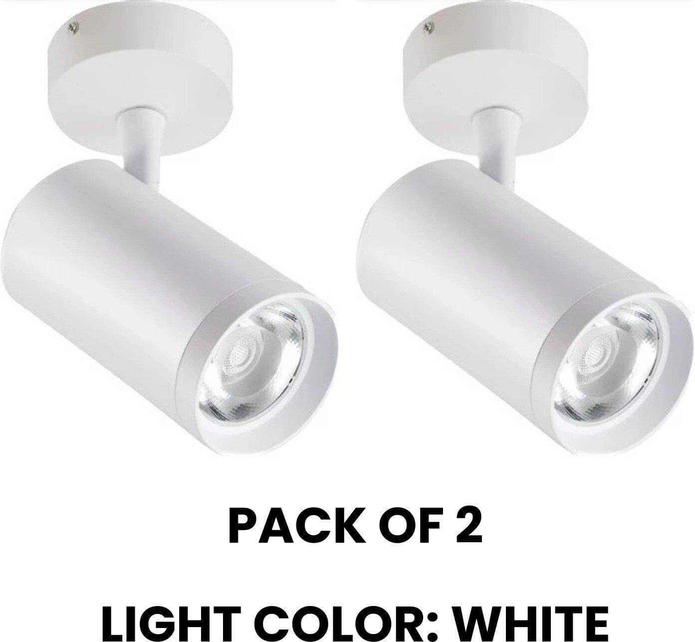     			ZESTRUM Plastic White Ceiling Lights - Pack of 2