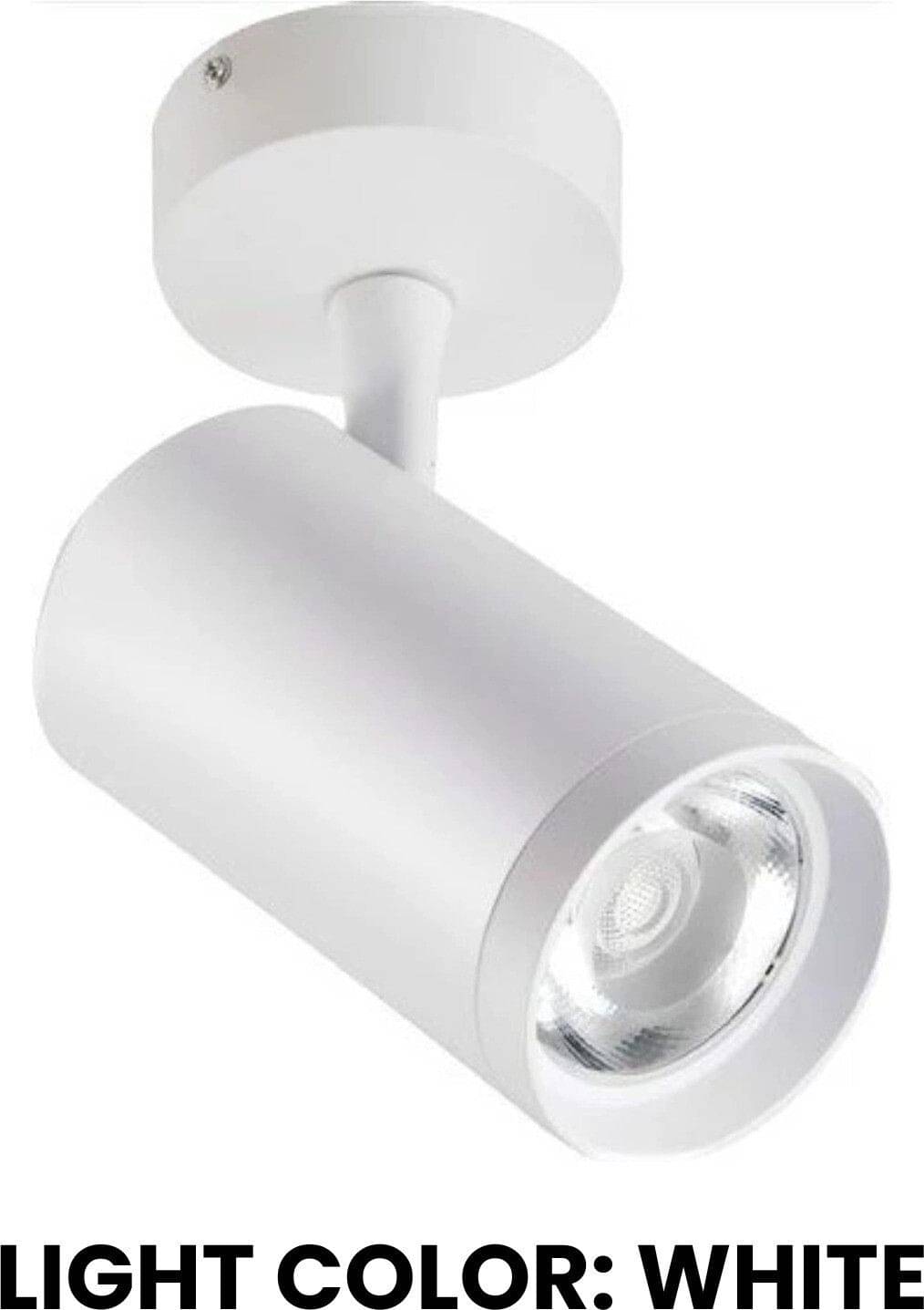     			ZESTRUM Plastic White Ceiling Lights - Pack of 1