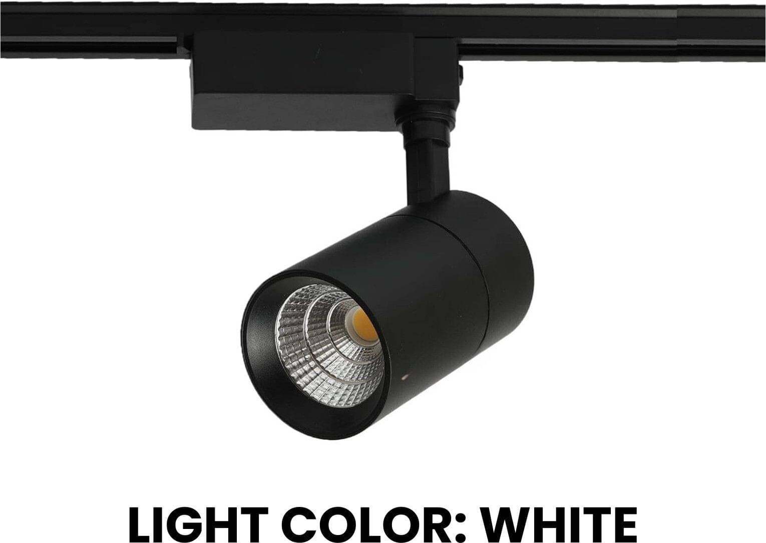     			ZESTRUM Plastic White Ceiling Lights - Pack of 1