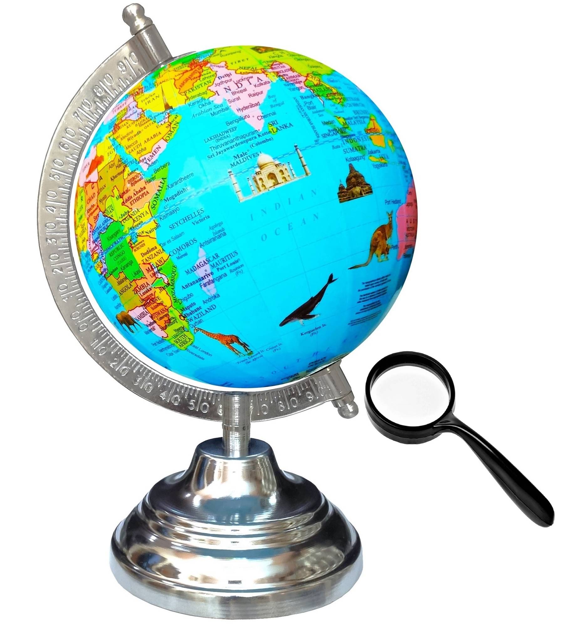     			SEE-WORLD Globe ( Pack of 1 )
