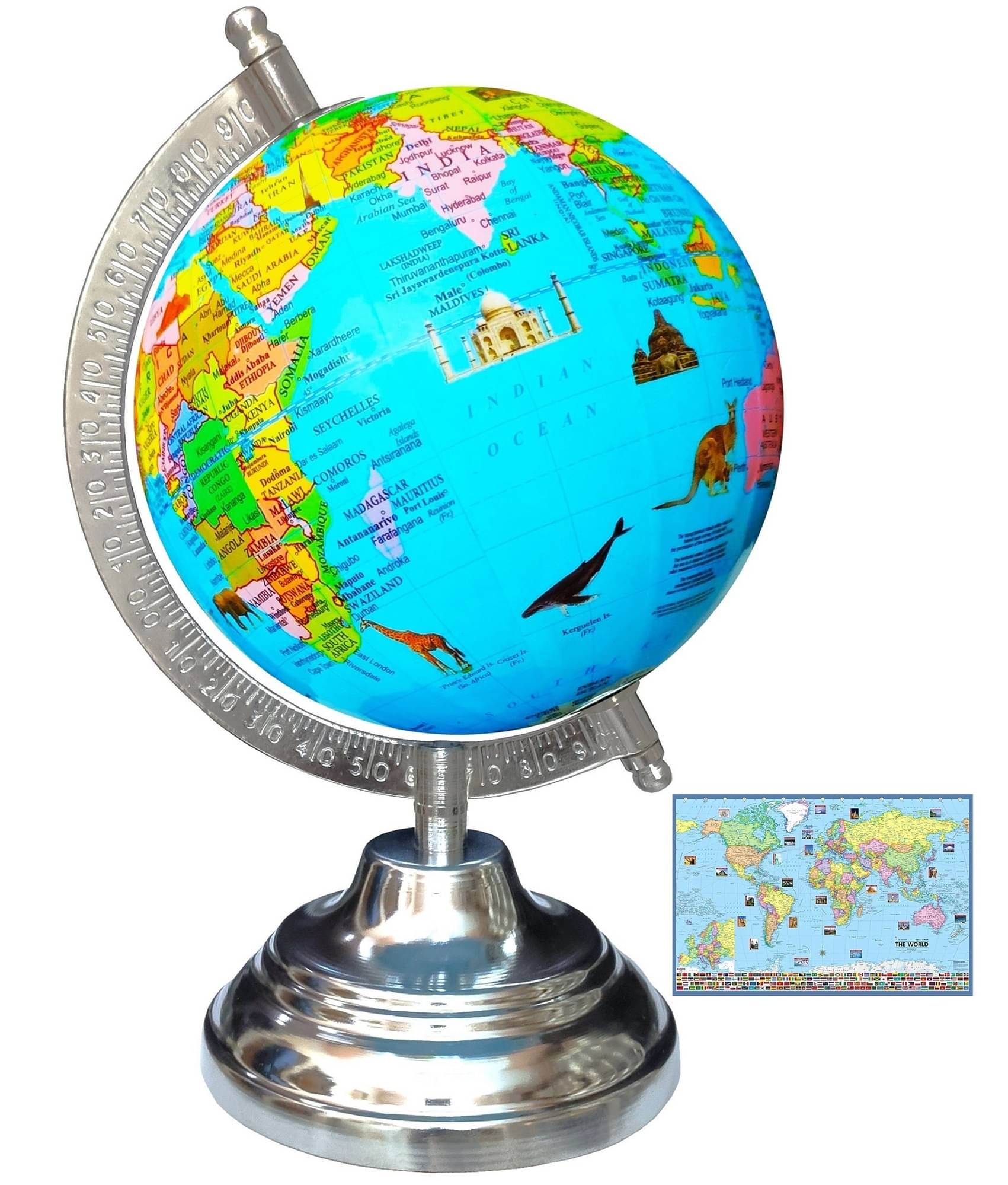 SEE-WORLD Globe ( Pack of 1 )     			SEE-WORLD Globe ( Pack of 1 )