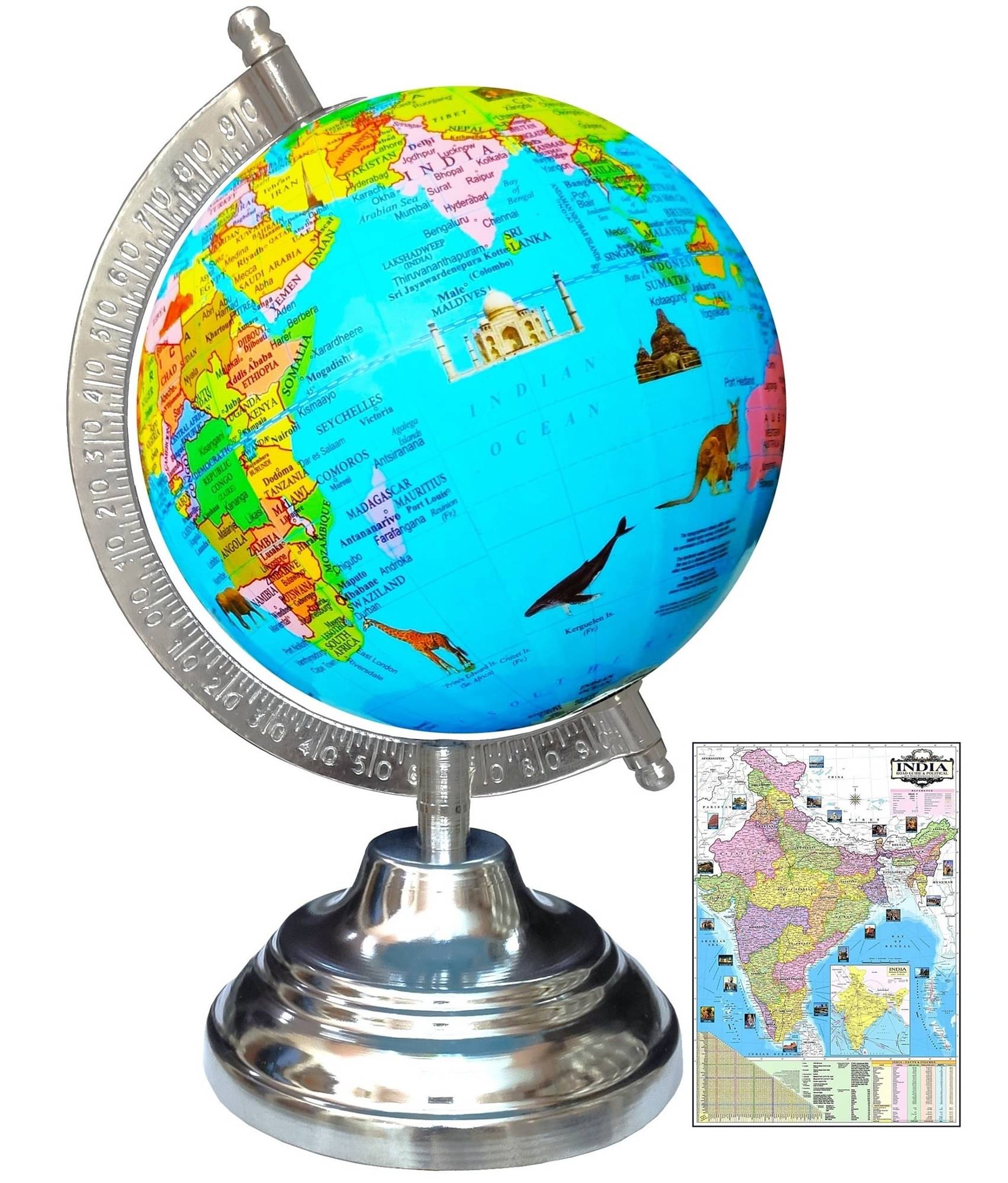     			SEE-WORLD Globe ( Pack of 1 )
