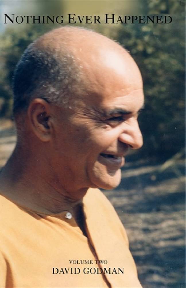     			Nothing Ever Happened Volume II