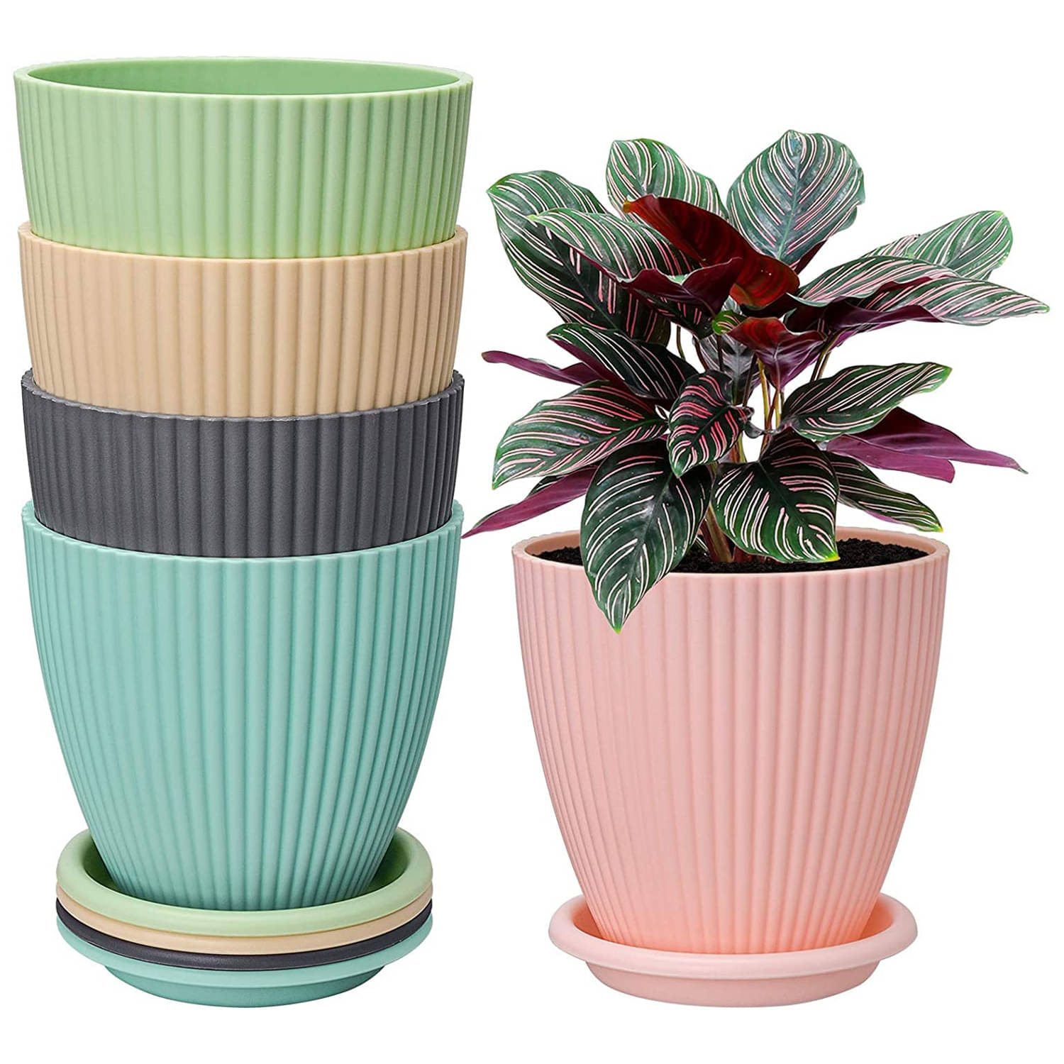     			CRAYLUXE 5-Piece Plastic Round Flower Pot Set | With Drainage Hole & Matching Tray | Multicolor Planters for Indoor & Outdoor Gardening | Balcony, Home, Office, Terrace Use