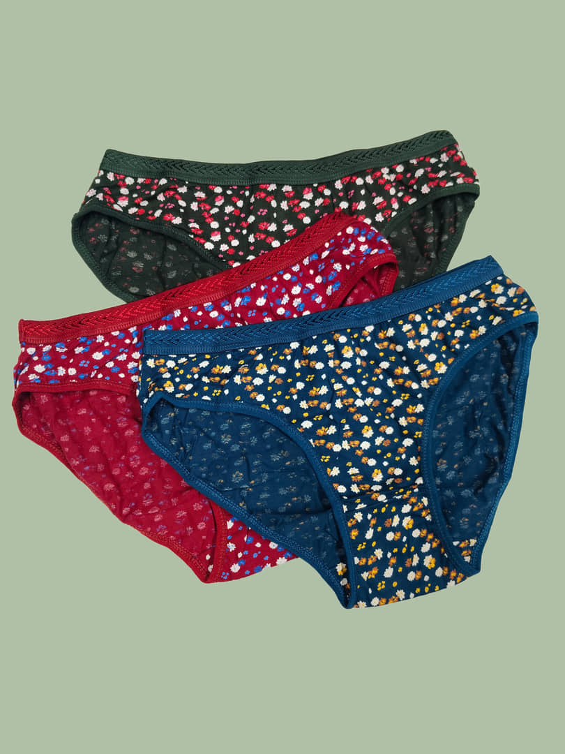 Ladyland Cotton Hipster ( Multicolor , Pack of 3 )
