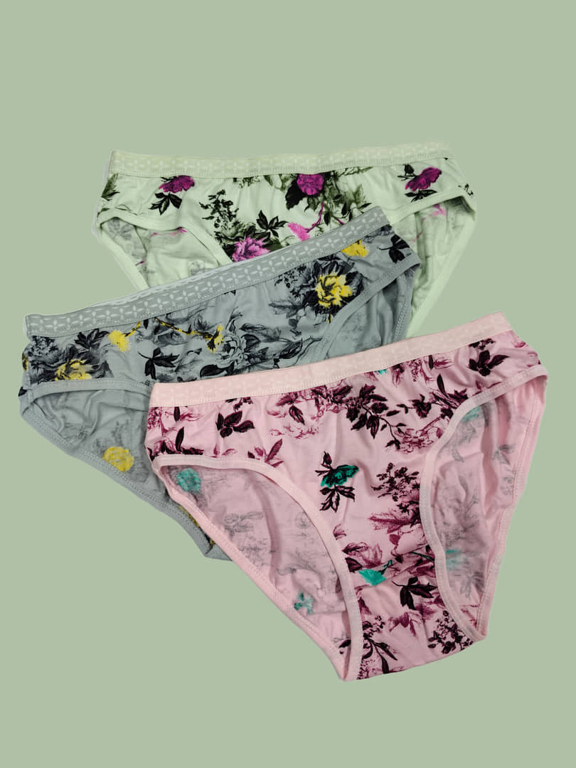 Ladyland Cotton Hipster ( Multicolor , Pack of 3 )