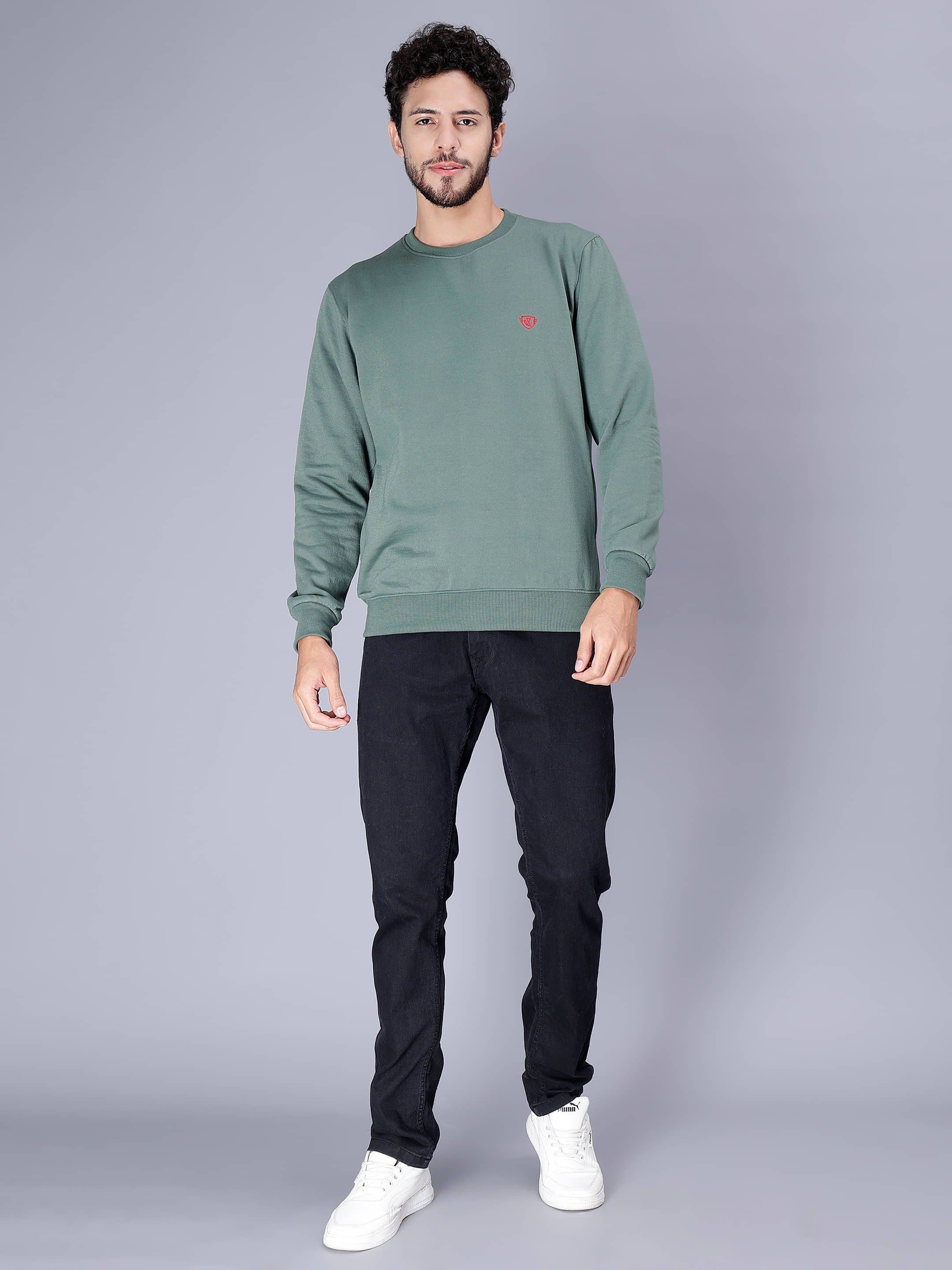 SHREYNKA Cotton Blend Round Neck Men's Sweatshirt - Green ( Pack of 1 )