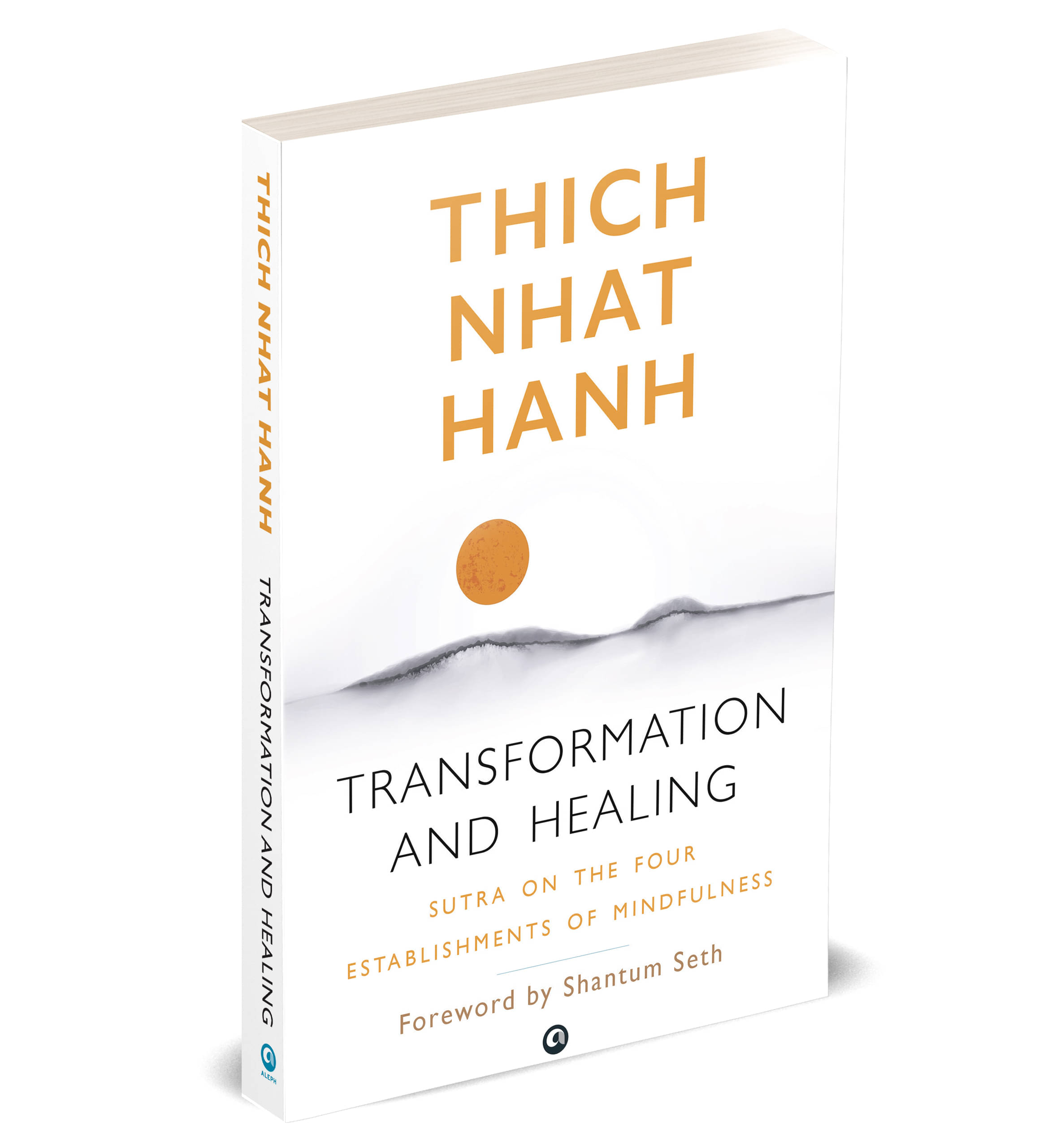     			TRANSFORMATION AND HEALING By Thich Nhat Hanh