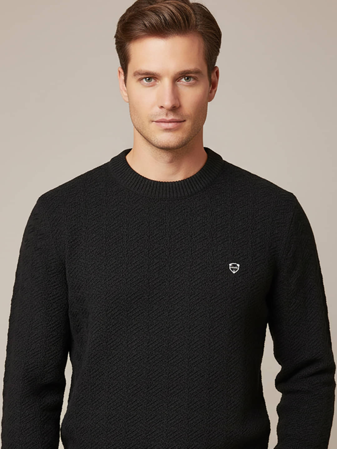 AIN6 Acrylic Round Neck Men's Full Sleeves Pullover Sweater - Black ( Pack of 1 ) AIN6 Acrylic Round Neck Men's Full Sleeves Pullover Sweater - Black ( Pack of 1 )
