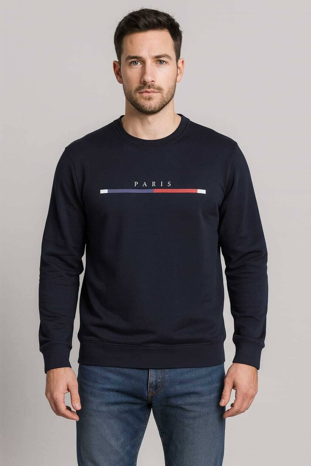 WILD ELEPHANT Polyester Round Neck Men's Sweatshirt - Multicolor ( Pack of 1 )