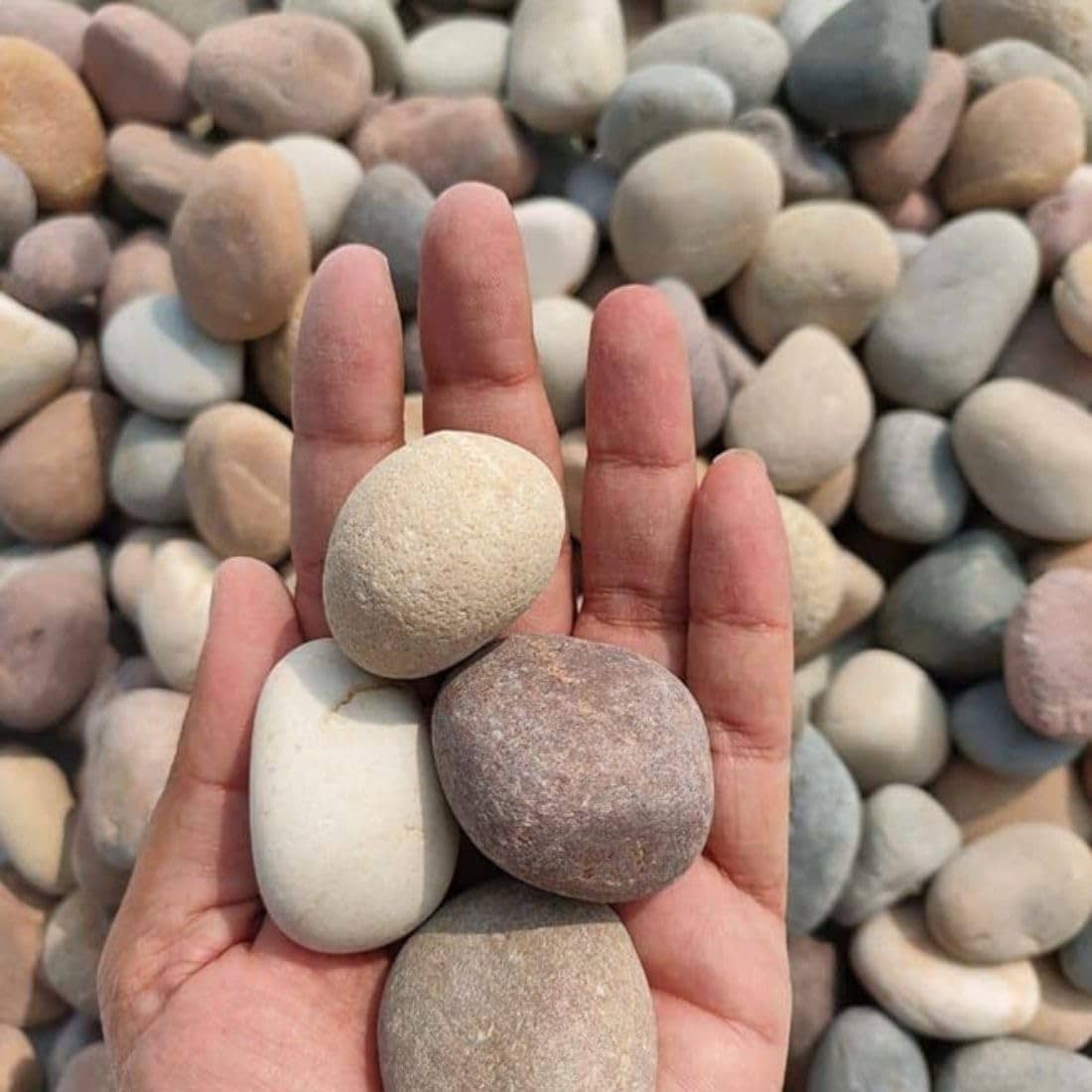 Decorative Garden Stones 1 kg