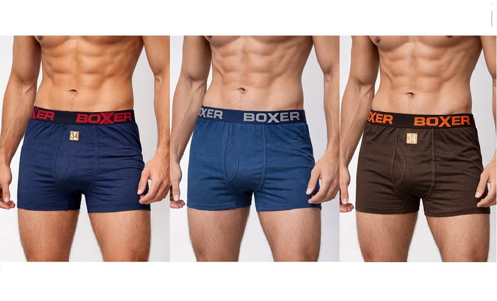 SONME ENTERPRISES Pack of 3 Cotton Blend Briefs For Men's ( Multicolor )